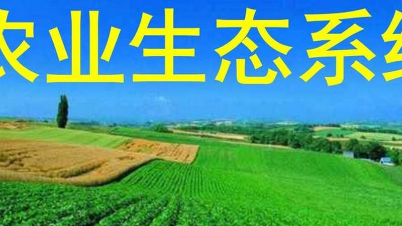 合作社代账服务哪家性价比高