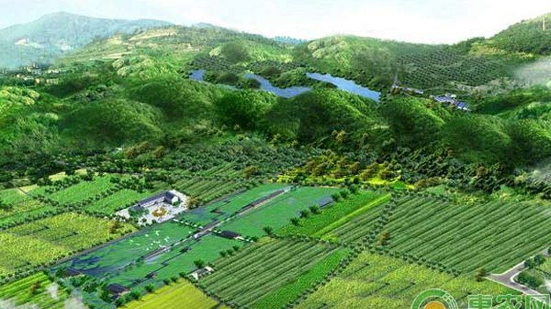 有机农场生物防治：绿色防控的实践之道