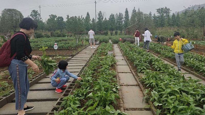 半成品生鲜配送定制怎么做