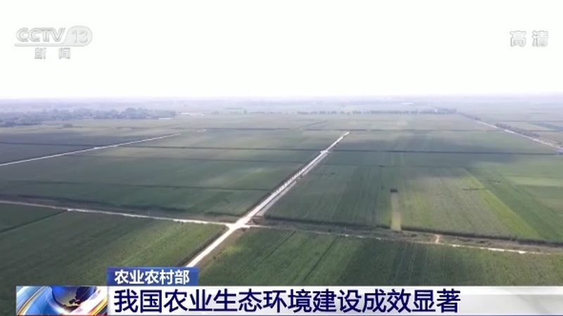 蓝莓水肥一体化：PH值控制的奥秘与标准