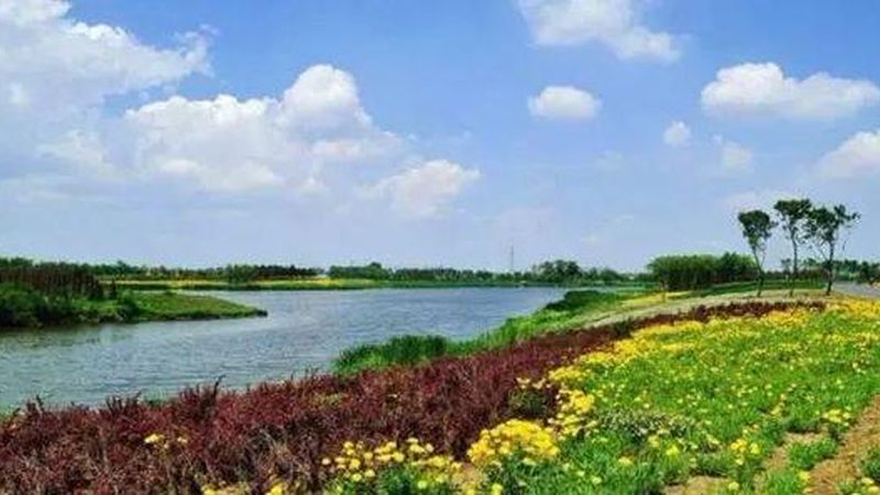 农村电商营销方案：破解农产品上行难题