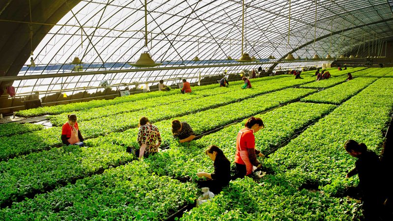 智慧农业设备：标准规范背后的技术逻辑