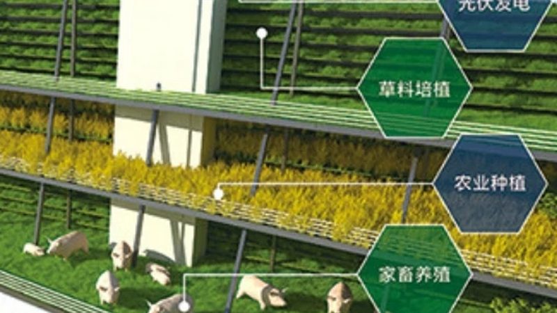 学校蔬菜配送食材分类标准解析