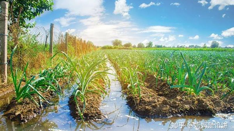 根据采购需求，在B2B平台上筛选合适的供应商。可以通过以下方式筛选：