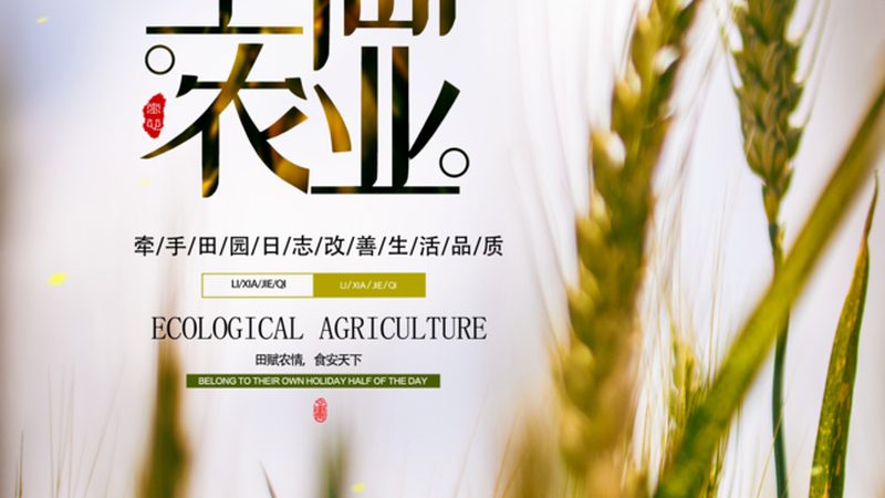 农资经营许可证办理：标准解读与合规要点**